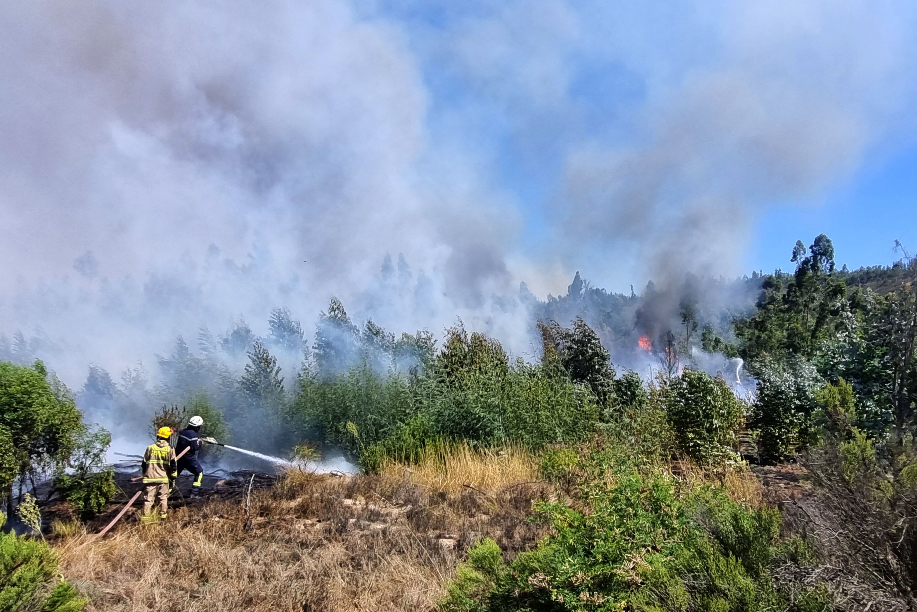 Fundo Las Tablas, cercano al Lago Peñuelas: AGENCIAUNO