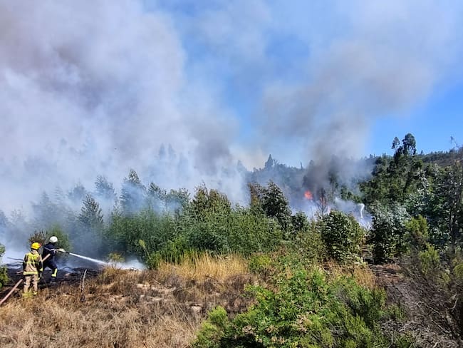 Detienen a padre e hijo por iniciar incendio forestal en cerro de Niebla
