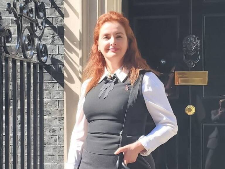 Fiscalía inicia investigación contra exembajadora Susana Herrera por millonario proyecto presentado al Gore del Biobío