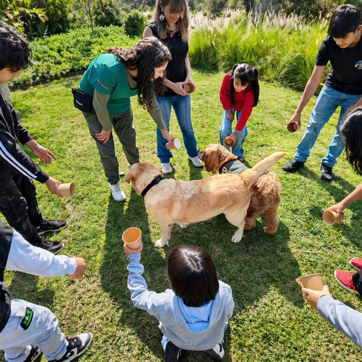 Terapias asistidas con perros: así es el amigable método que acompaña a niños con enfermedades renales en sus tratamientos