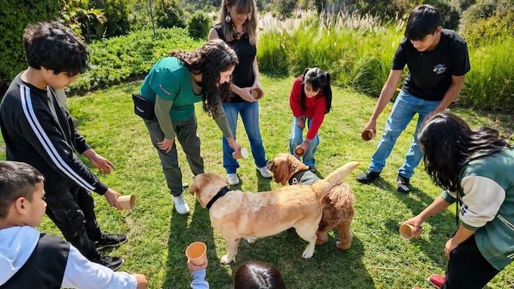 Terapias asistidas con perros: así es el amigable método que acompaña a niños con enfermedades renales en sus tratamientos