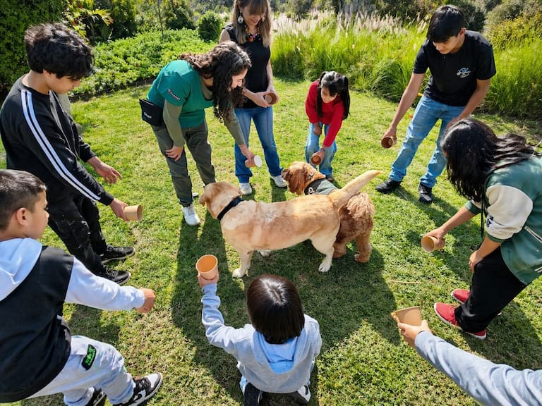 Terapias asistidas con perros: así es el amigable método que acompaña a niños con enfermedades renales en sus tratamientos