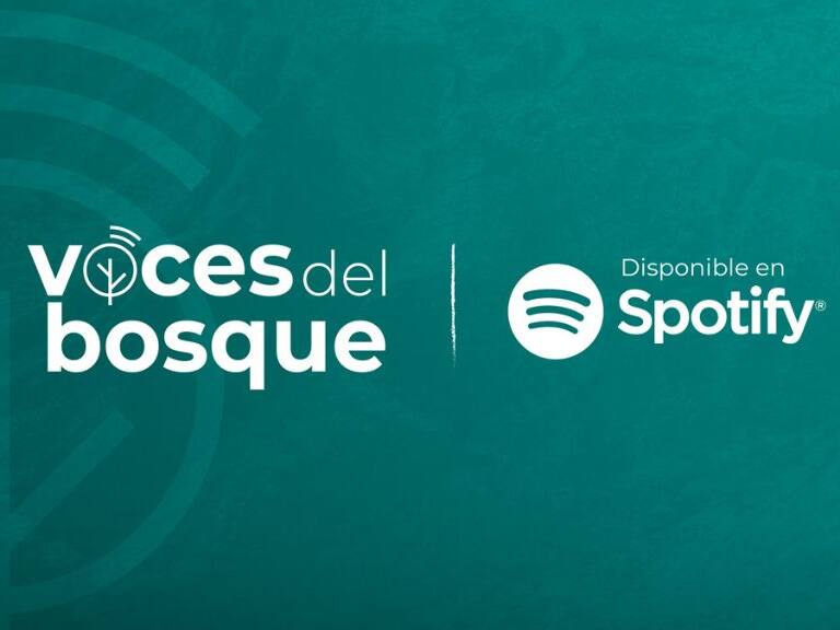 Voces del Bosque - Arauco