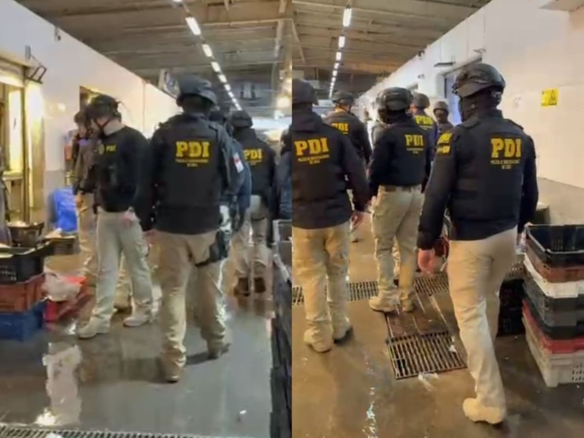 Megaoperativo en Terminal Pesquero de Santiago: investigan robo a camiones de salmones en varias autopistas de Chile