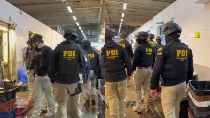 Megaoperativo en Terminal Pesquero de Santiago: investigan robo a camiones de salmones en varias autopistas de Chile