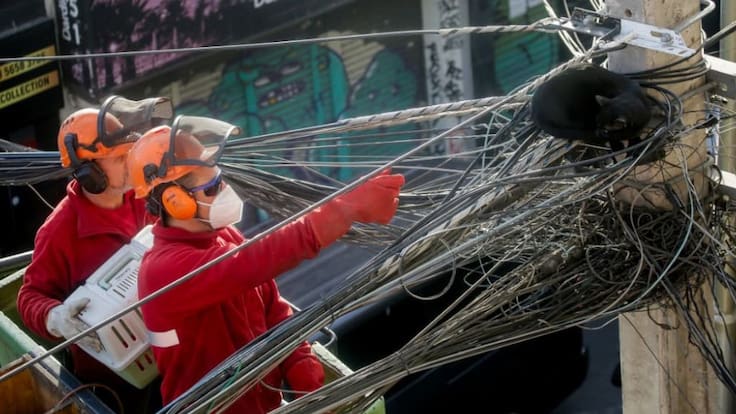 Rescate de gato generó importante operativo en Recoleta: saltó desde poste eléctrico