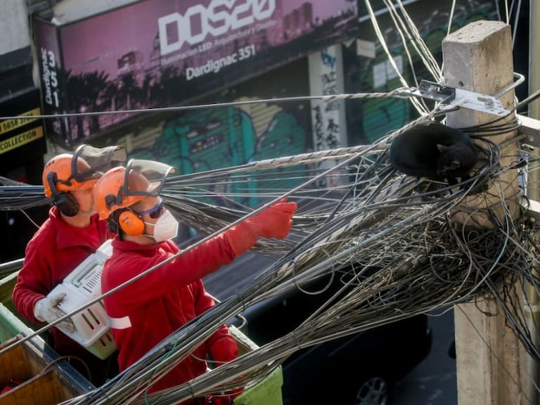 Rescate de gato generó importante operativo en Recoleta: saltó desde poste eléctrico