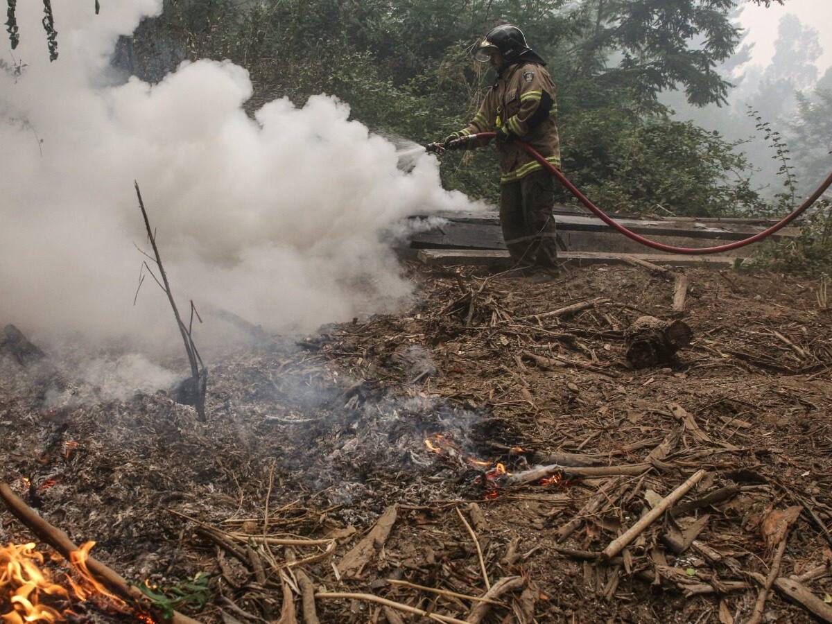 Senapred solicita evacuar San Antonio Negro en Yumbel por incendios forestales