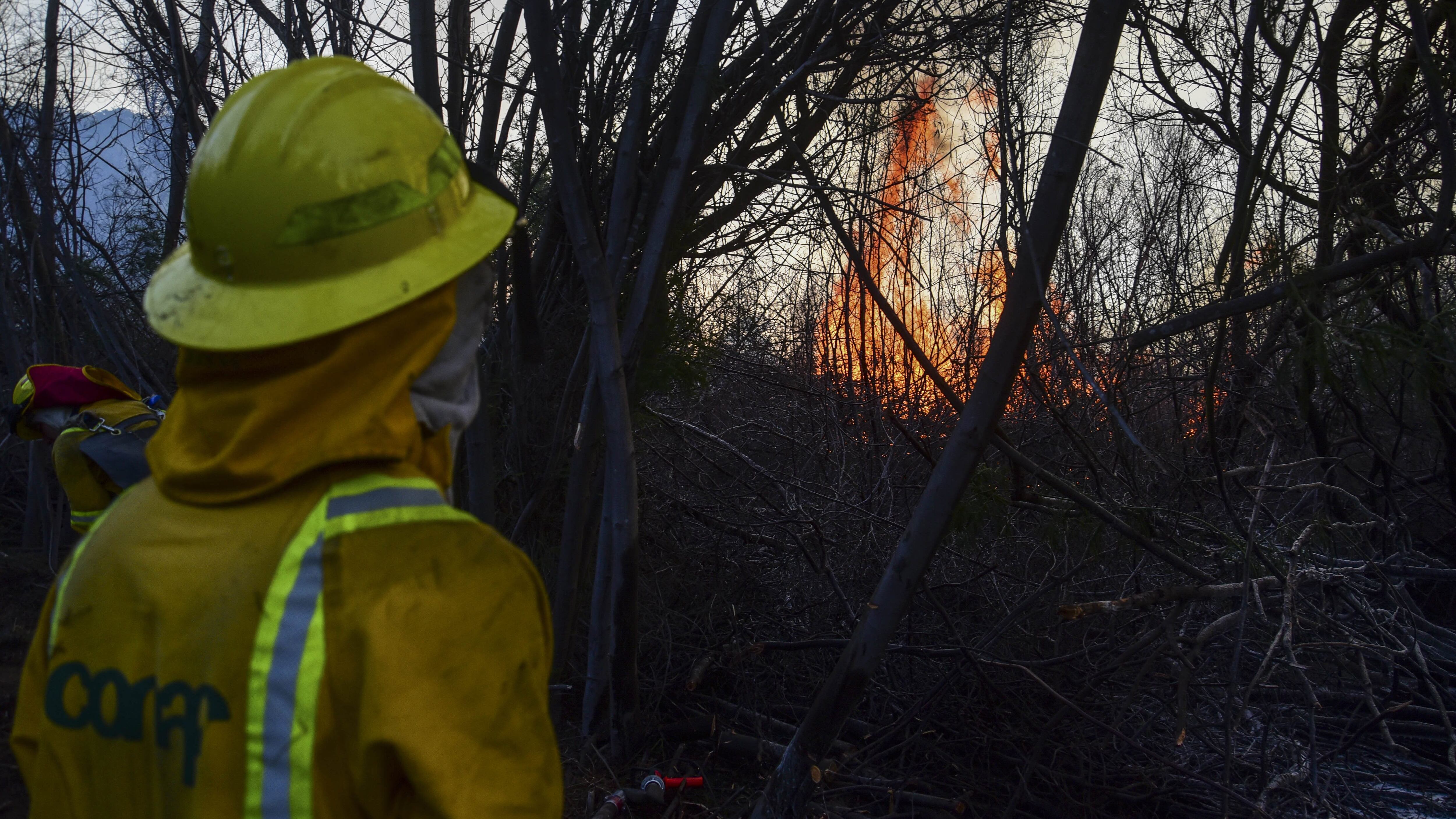 15 DE DICIEMBRE DE 2020 / VALPARAISOPersonal de CONAF trabaja en incendio forestal en el sector de Peñuelas, por el cual las autoridades decretaron Alerta Roja para la ciudad.
FOTO: MIGUEL MOYA / AGENCIAUNO