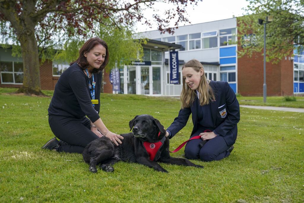 Lilly es parte de las terapias de salud mental en Gloucestershire