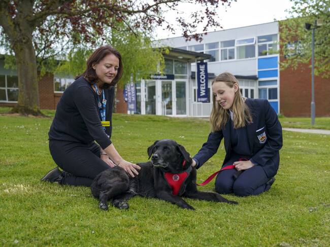 Lilly es parte de las terapias de salud mental en Gloucestershire