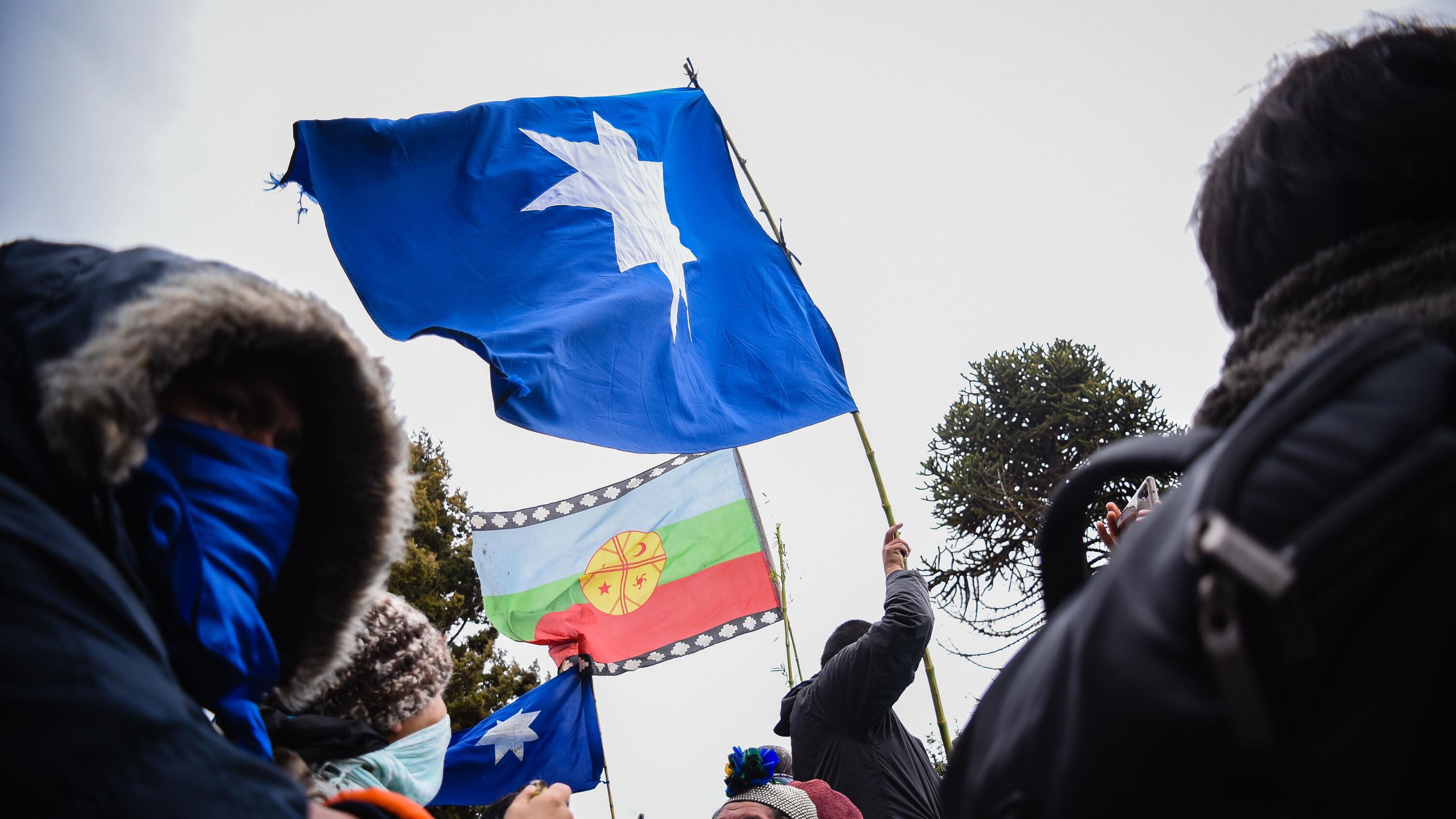 Mapuche