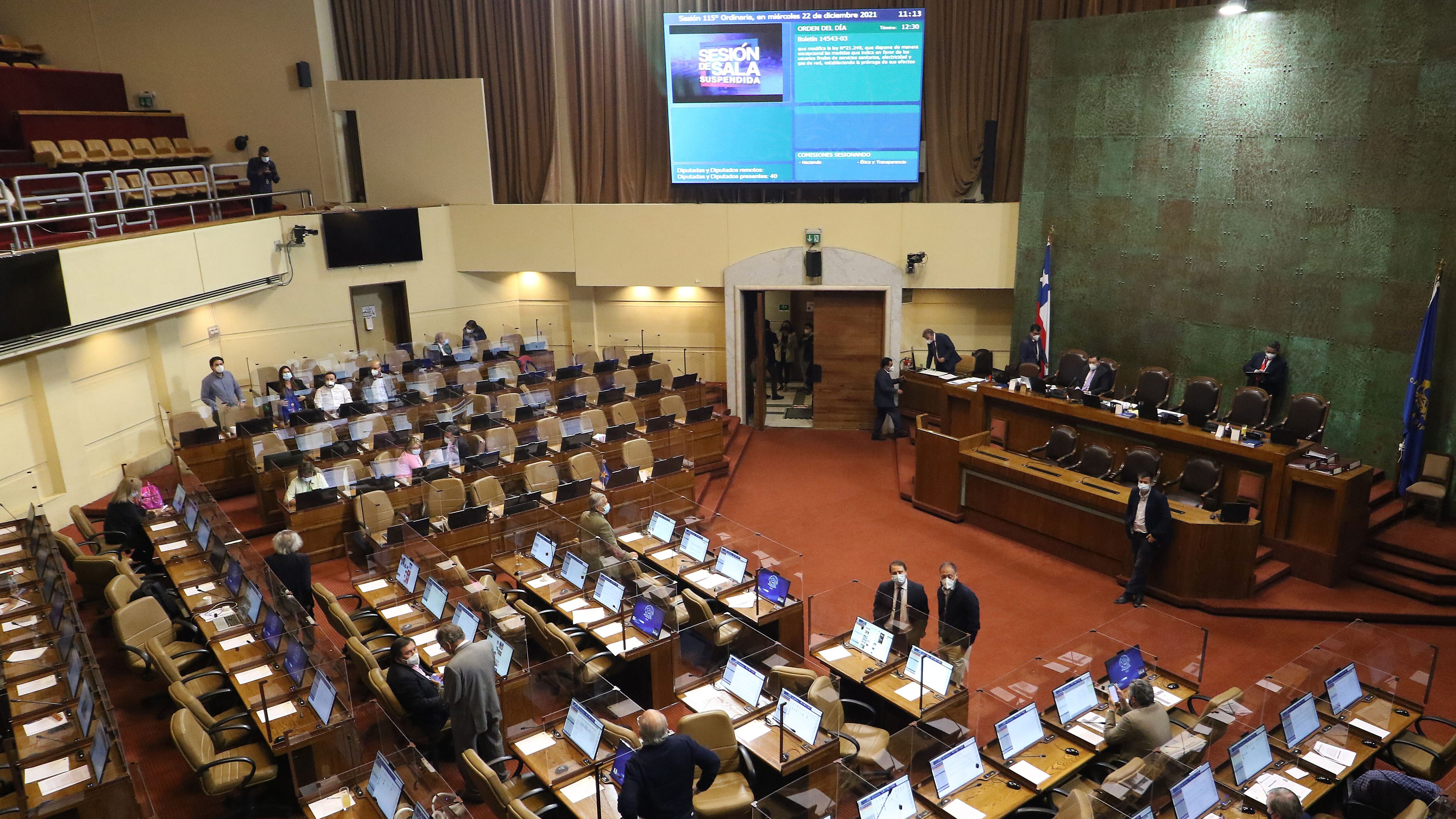 Diputada Karol Cariola y bancada PPD votarán a favor de la PGU