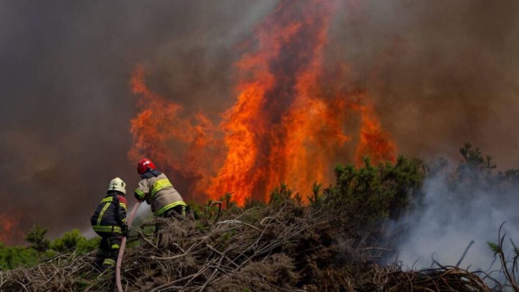 Incendios forestales en Chile.