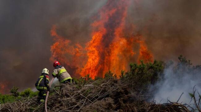 Incendios forestales en Chile.