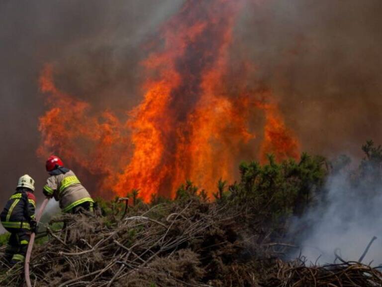 Incendios forestales en Chile.