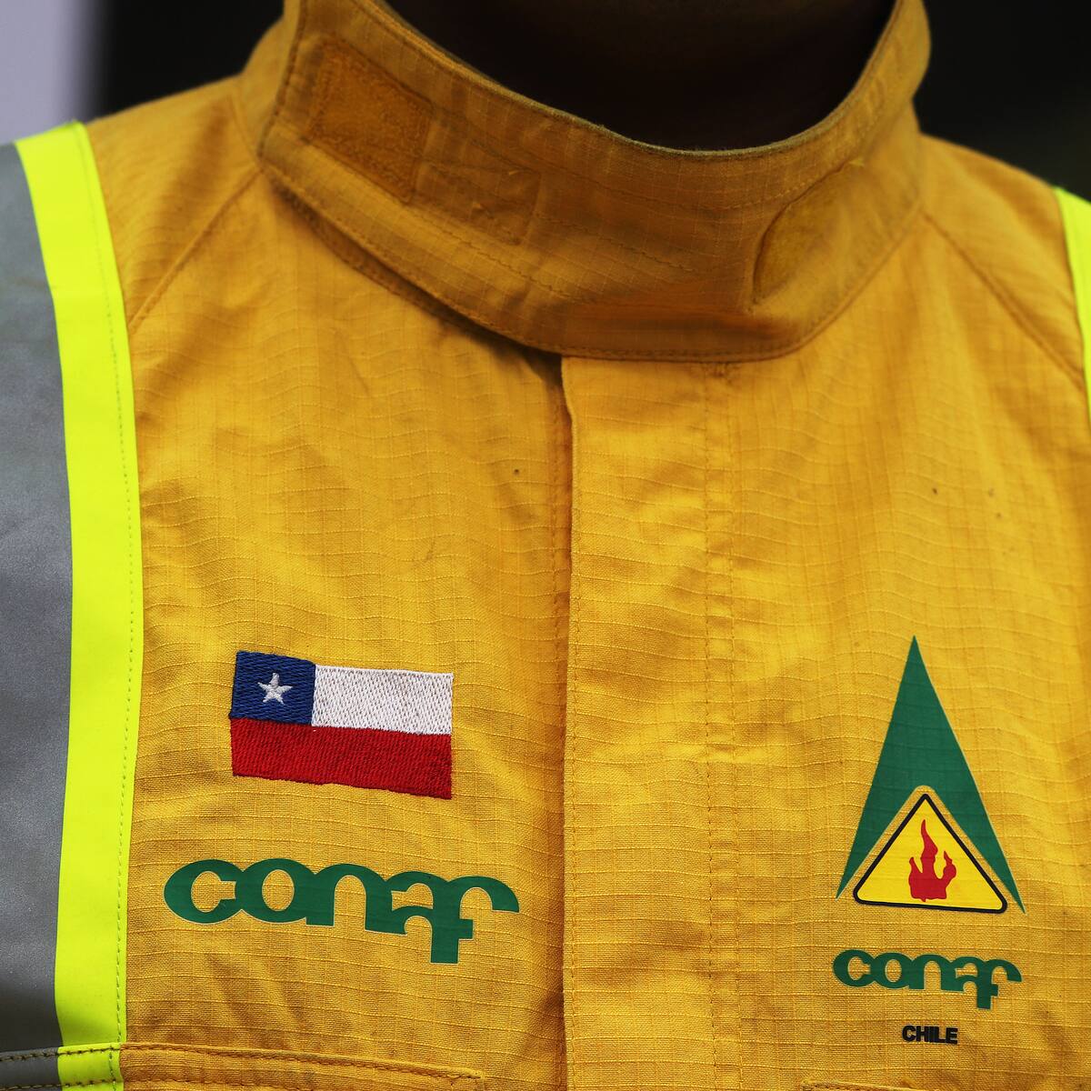 Sindicatos de CONAF denuncian nombramiento de gerente de Finanzas sin título profesional con millonario sueldo