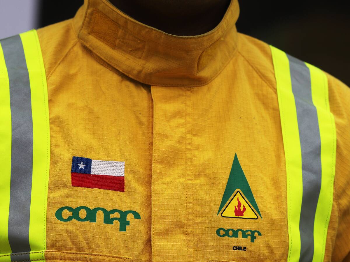 CONAF asume su responsabilidad respecto a las acusaciones de la Contraloría General de la República y anuncia medidas