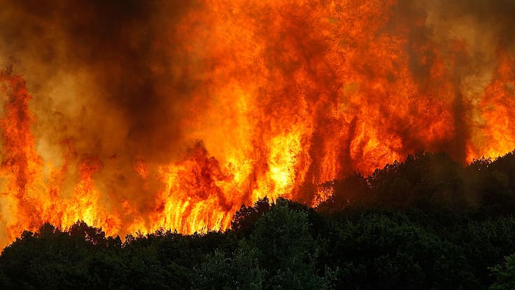 Este mapa te muestra si tu barrio es vulnerable a incendios forestales durante este verano (cómo usarlo paso a paso)