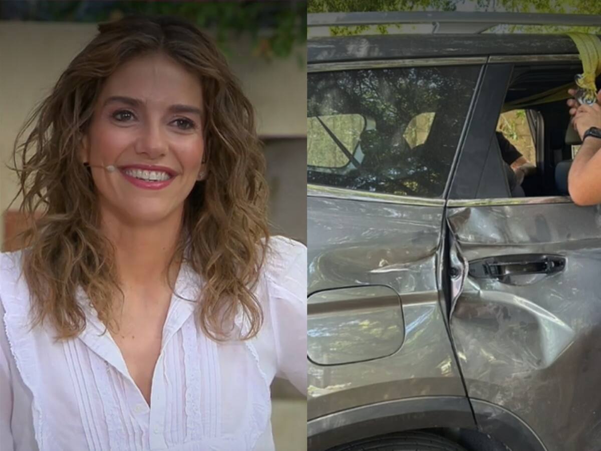 “Se me cruzó un árbol”: María Luisa Godoy protagoniza accidente en su auto nuevo cuando iba a buscar a sus hijas
