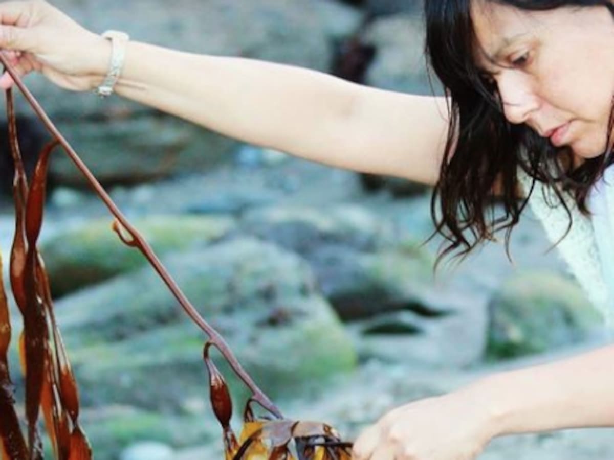 «Alguita de Mar»: Una pyme que trae los sabores de las algas chilenas a tu paladar