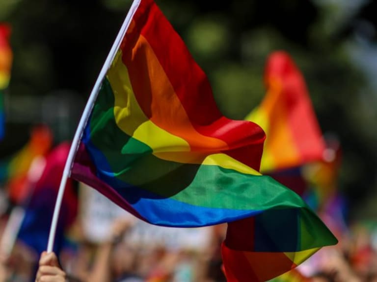 Cámara llama a Gobierno a agilizar la agenda legislativa de la diversidad sexual