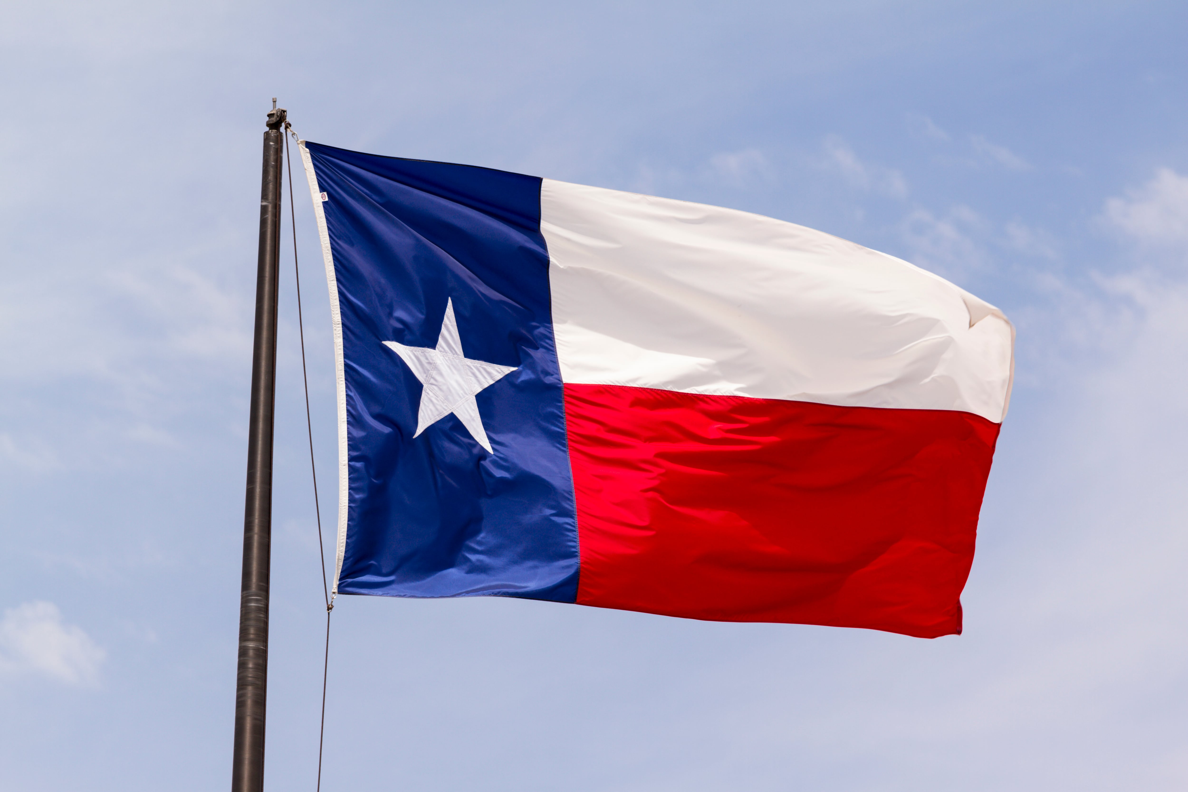 Bandera de Texas