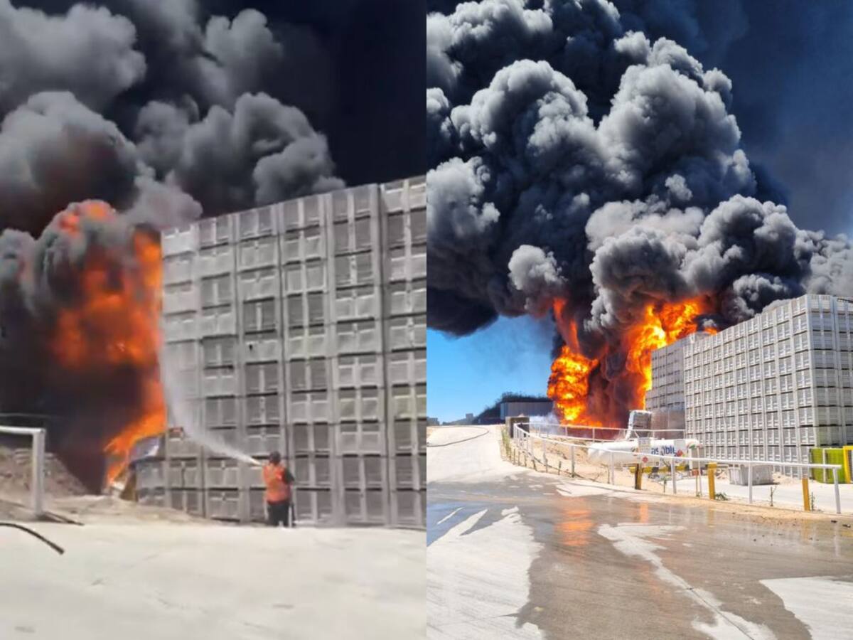 “Se está quemando esta ca...”: incendio de gran magnitud arrasa packing en Las Cabras
