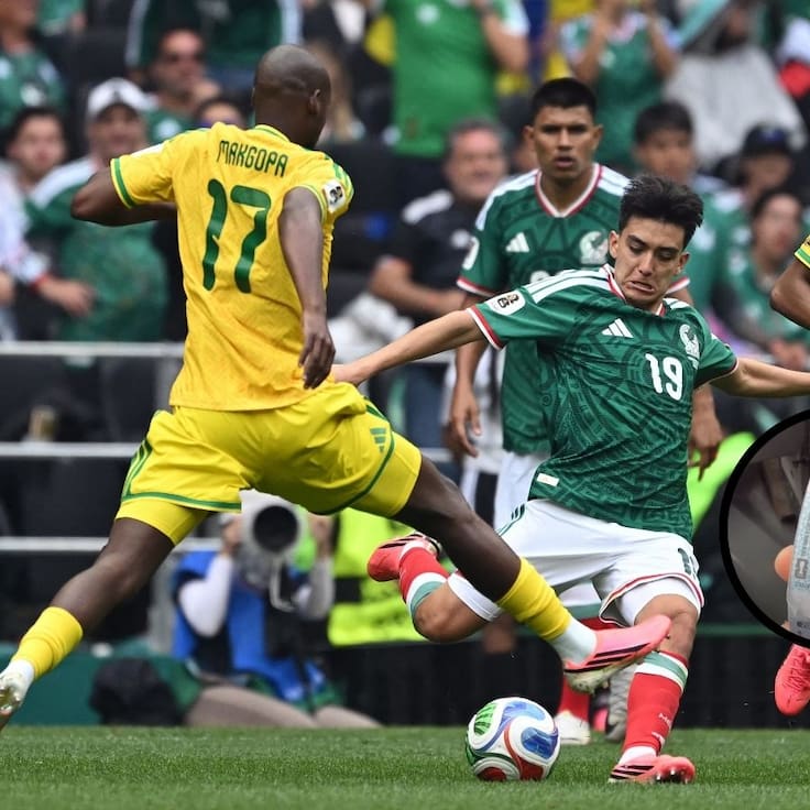 La pasión por el Mundial llega a Concepción: singular colección en micros se vuelve viral
