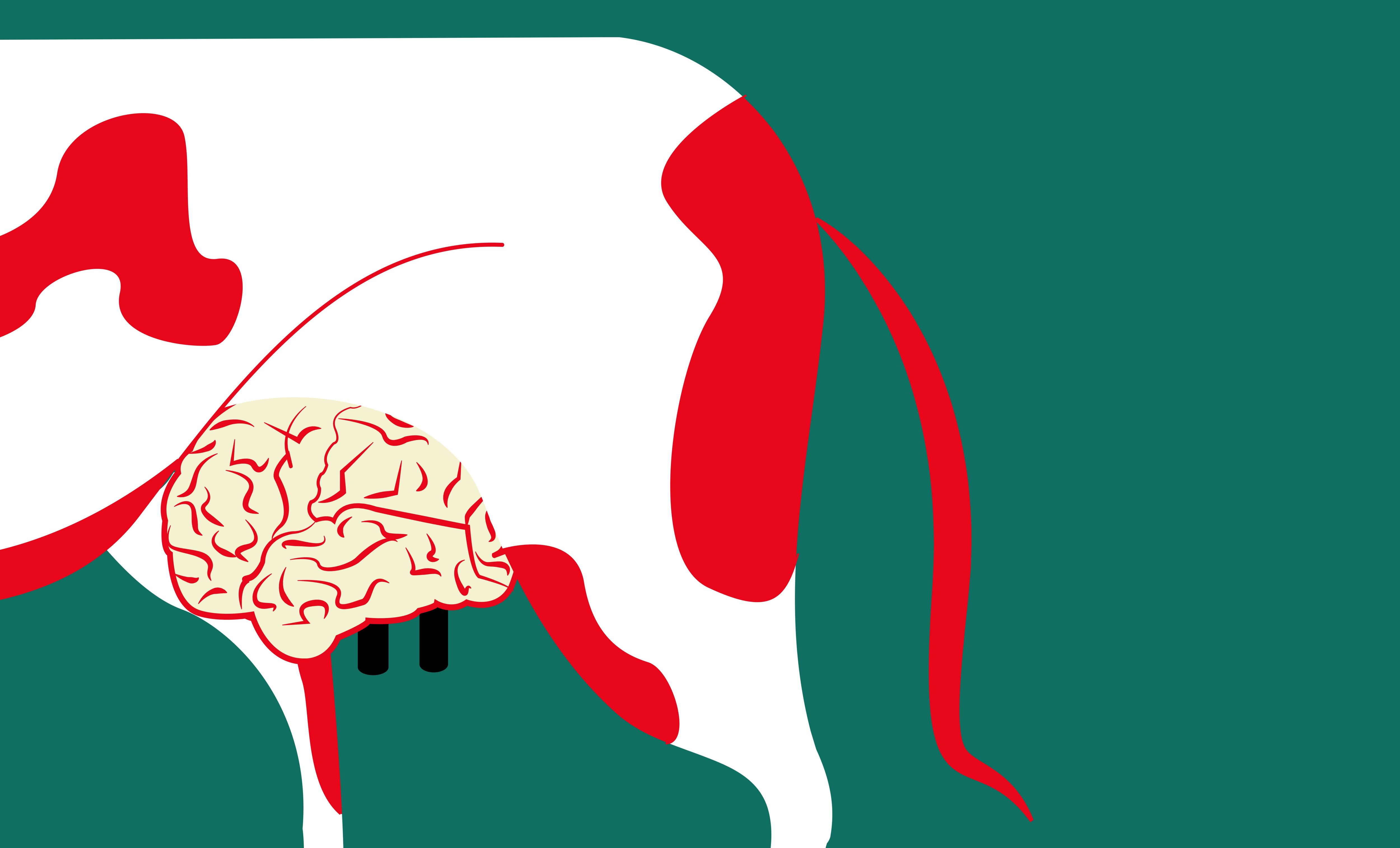 illustration of a yellow cow with a brian for giving milk