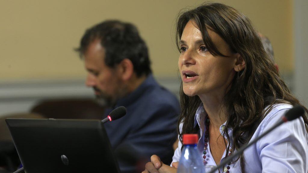 09 de Marzo de 2015/SANTIAGOAndrea Repetto durante  la comisin de Trabajo y Seguridad Social, con el objeto de continuar con el estudio del proyecto de reforma laboral que se lleva a cabo en la sede del Congreso Nacional en Santiago
FOTO:MARIO DAVILA/AGENCIAUNO