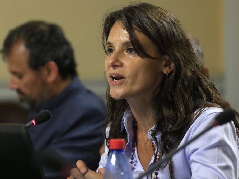 09 de Marzo de 2015/SANTIAGOAndrea Repetto durante la comisin de Trabajo y Seguridad Social, con el objeto de continuar con el estudio del proyecto de reforma laboral que se lleva a cabo en la sede del Congreso Nacional en Santiago
FOTO:MARIO DAVILA/AGENCIAUNO