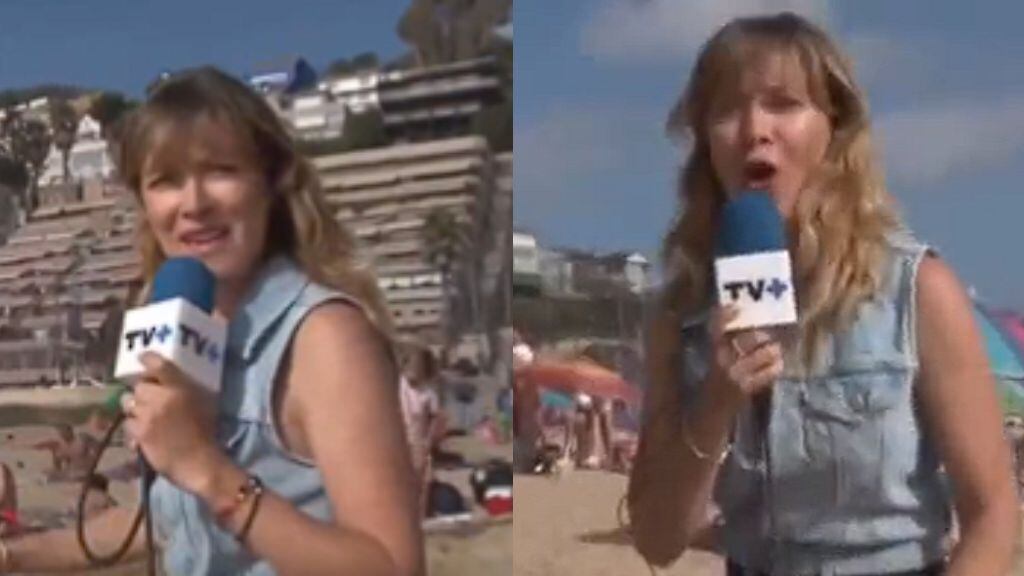 Carla Jara vivió divertido momento con veraneante en playa de Reñaca