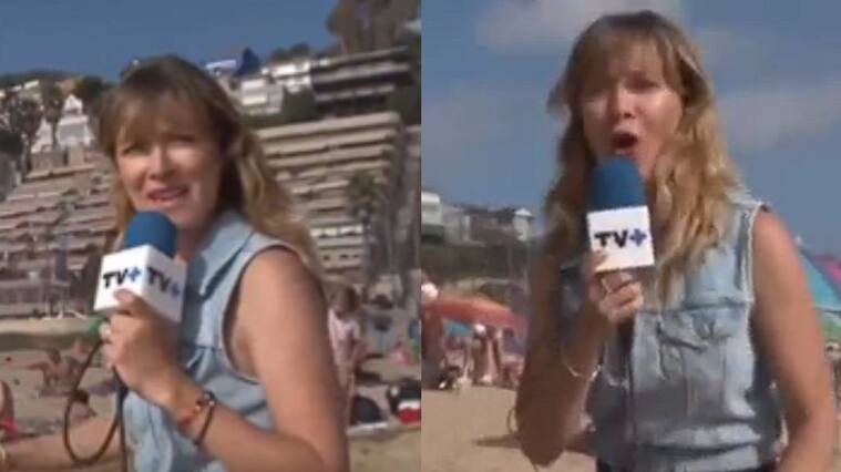 Carla Jara vivió divertido momento con veraneante en playa de Reñaca