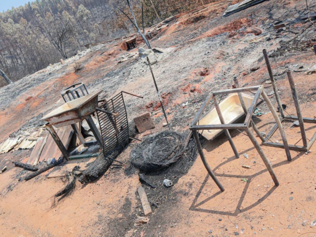 El 71% de la comuna de Santa Juana fue afectada por los incendios forestales