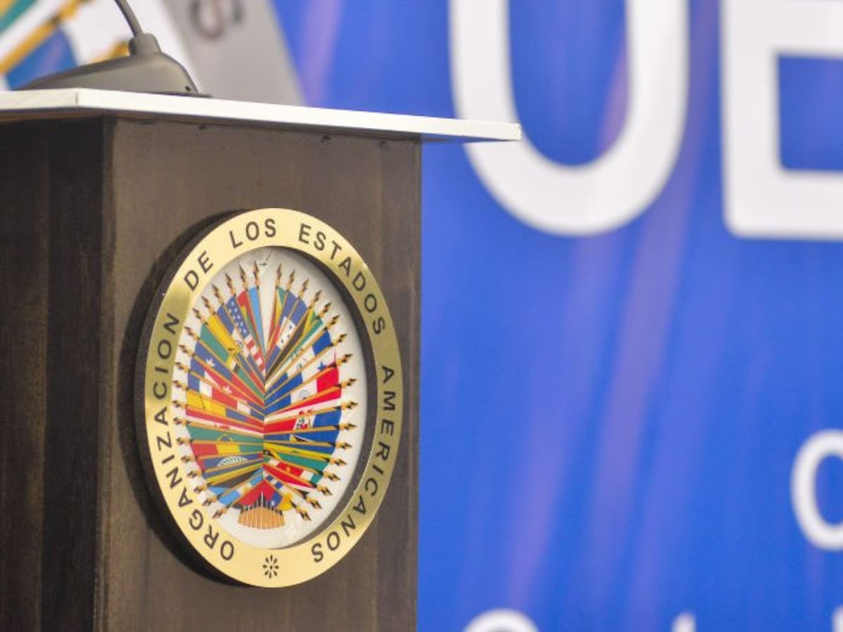 OEA aprobó condena contra Putin: Argentina, Bolivia, Brasil y Nicaragua no firmaron la iniciativa