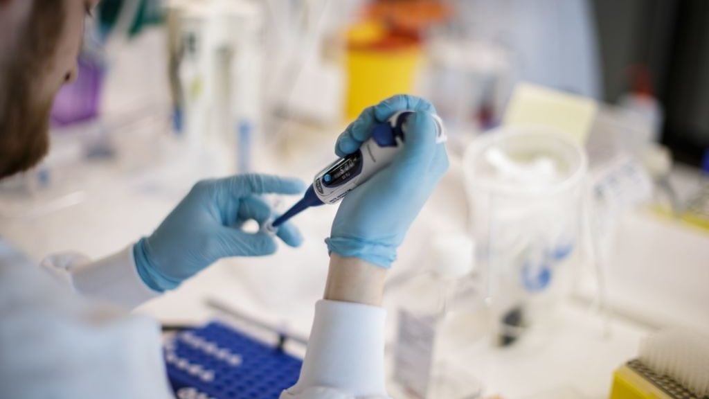 TOPSHOT - A researcher works on a vaccine against the new coronavirus COVID-19 at the Copenhagen's University research lab in Copenhagen, Denmark, on March 23, 2020. - At Copenhagen university, a team of about 10 researchers is working around the clock to develop a vaccine against Covid-19 that could apply for clinical trial before within nine months. The vaccine will be based on two components : the protein which is on the surface of the coronavirus, called the spike protein that researchers express in the lab and then attach it on the surface of a virus-like particle. (Photo by Thibault Savary / AFP) (Photo by THIBAULT SAVARY/AFP via Getty Images)