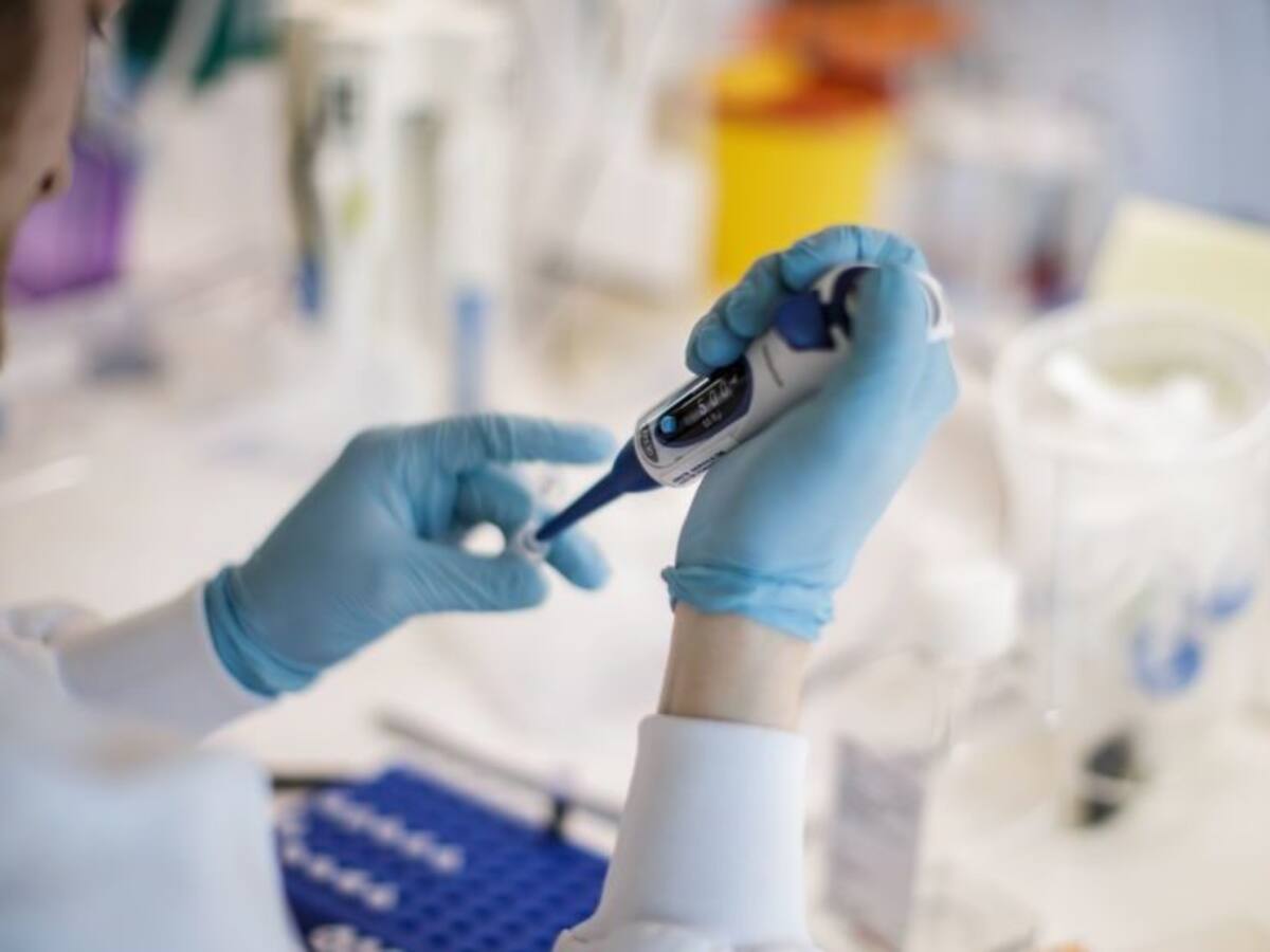 Minsal informó que hubo 1.462 nuevos casos y ya son 362.962 los contagiados con coronavirus