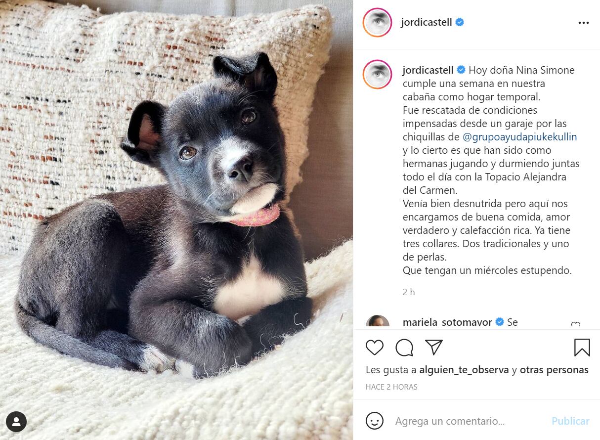 Jordi Castells | Instagram