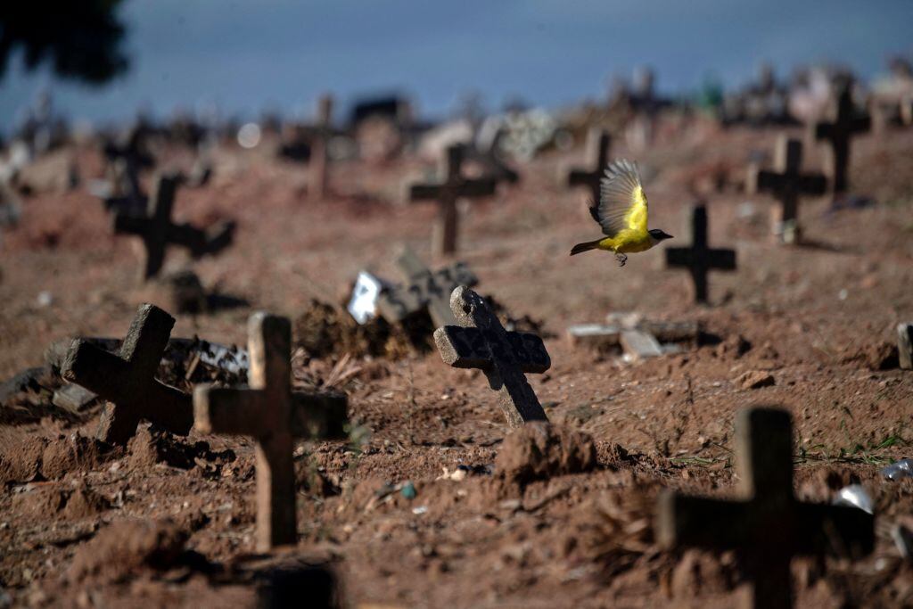 Tumbas de víctimas del Covid-19 en un cementerio de Río de Janeiro