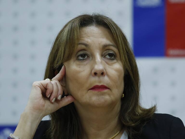 Exsubsecretaria Gisela Alarcón «La comunicación de riesgo ha sido