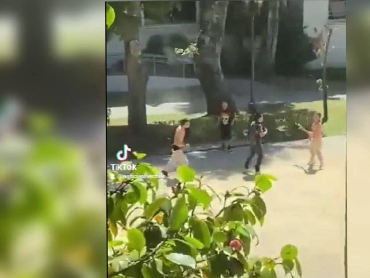 Preocupación en el Biobío tras violenta pelea a plena luz del día en la Universidad de Concepción