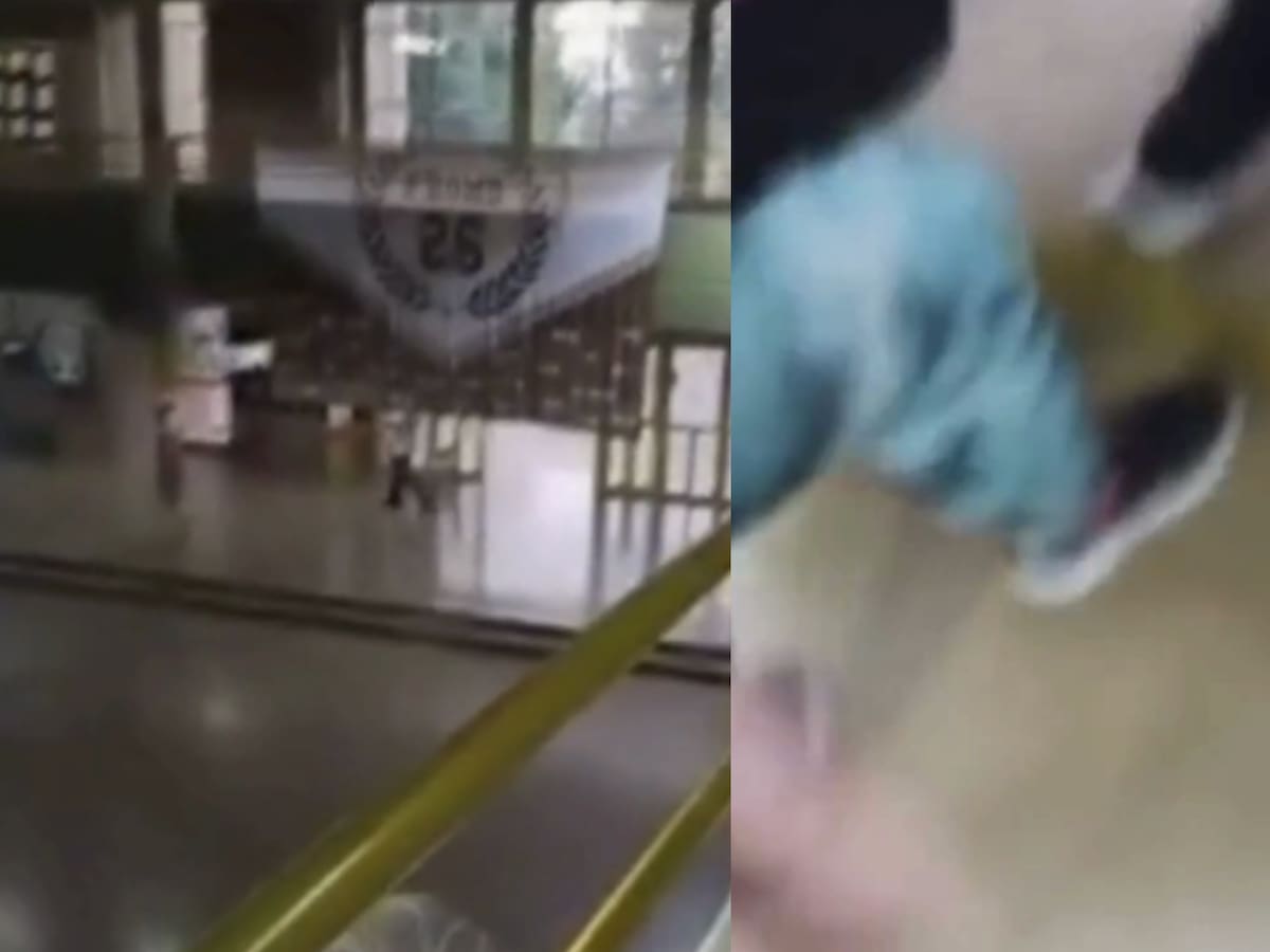 Minutos de terror: captan momento en que estudiante dispara en colegio durante ataque que dejó un muerto en Argentina