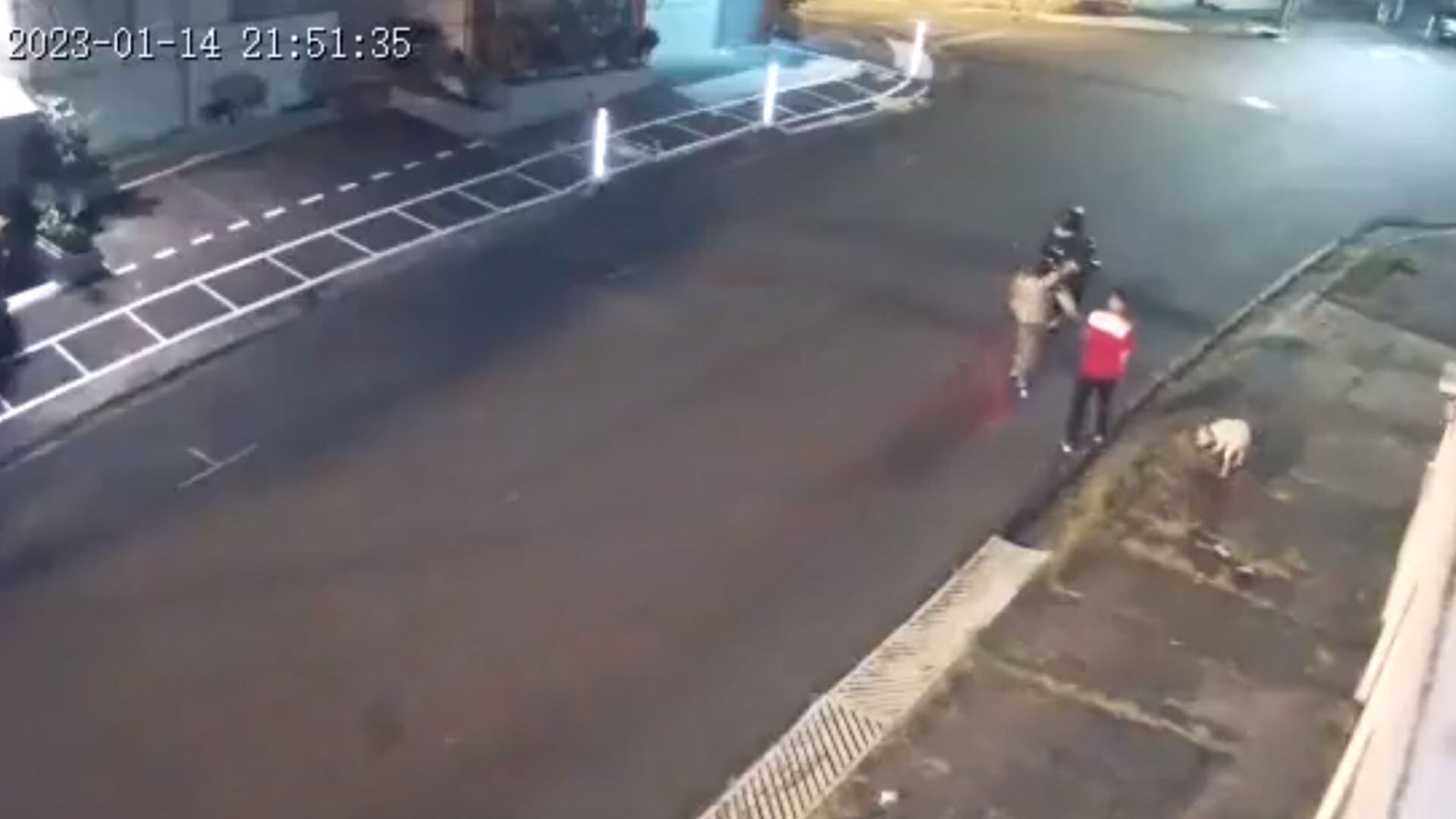 perro, can, asalto, Costa Rica, delincuentes, humano, p