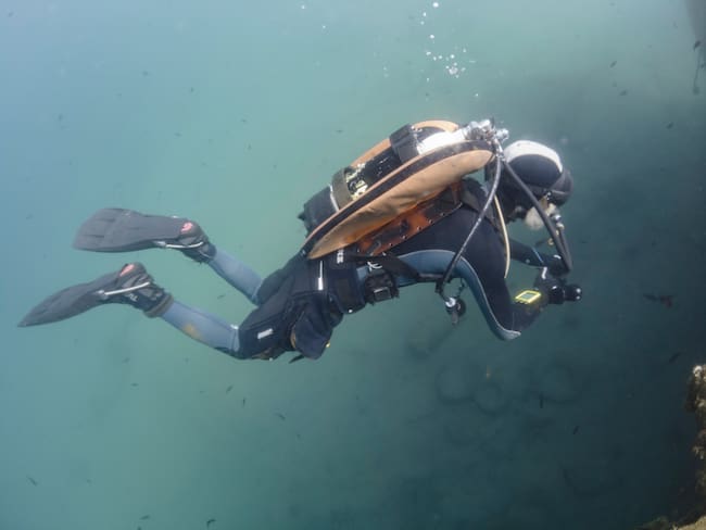 Las imágenes del extraño gusano encontrado en las profundidades marinas de Costa Rica