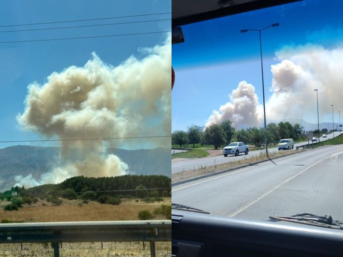 Densa nube de humo cubre Santiago: Incendio forestal en Pudahuel activa segunda alarma y alarma a vecinos