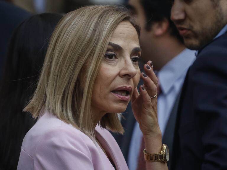 Isabel Plá pidió pasar al Tribunal Supremo de la UDI al concejal Iván Roca tras justificar a su hijo formalizado por violación