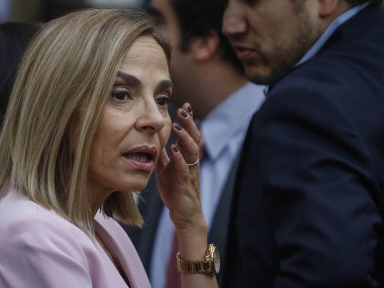 Isabel Plá pidió pasar al Tribunal Supremo de la UDI al concejal Iván Roca tras justificar a su hijo formalizado por violación