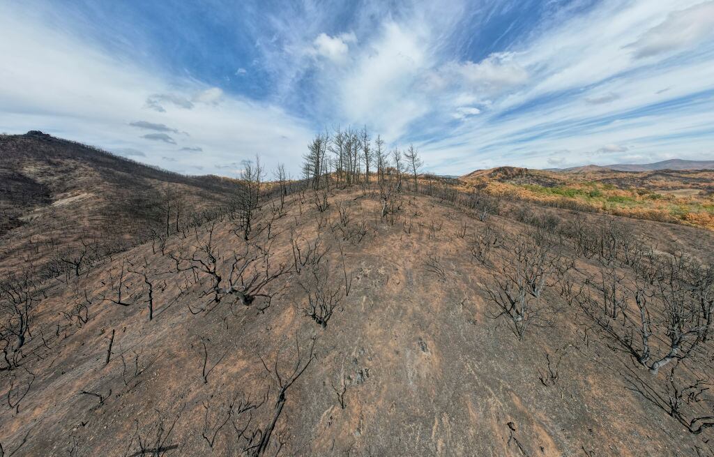 Las altas temperaturas ayudaron a los incendios forestales en Grecia