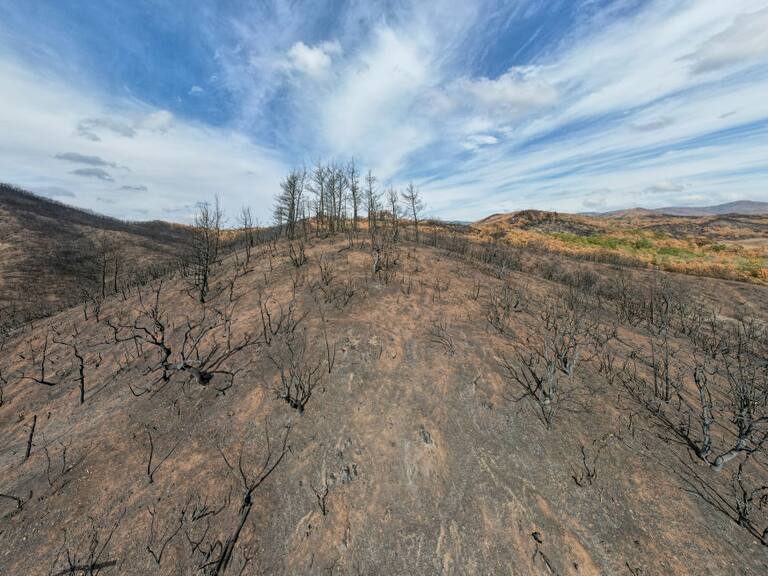 Las altas temperaturas ayudaron a los incendios forestales en Grecia